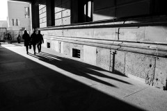 IMG_6340    