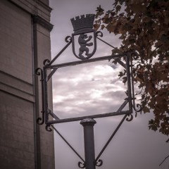IMG_6389    