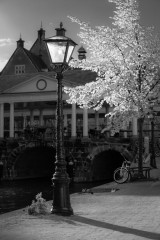 IMG_9597