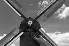 IMG_9737