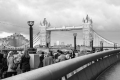 IMG_0055