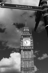 IMG_0507