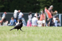 IMG_5123