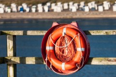 IMG_5793