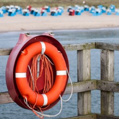 IMG_5808