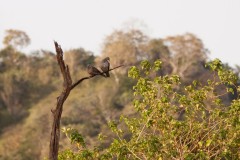 IMG_0235