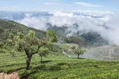 IMG_0540