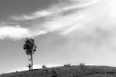 IMG_0673