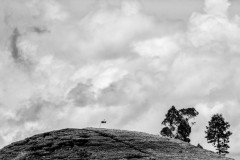 IMG_0720