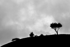 IMG_1025