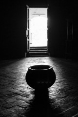 IMG_9774