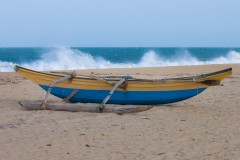 IMG_9785