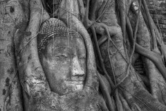 thai_0990