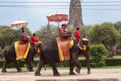 thai_1021