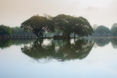thai_1382