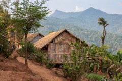 thai_1741
