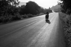thai_3108